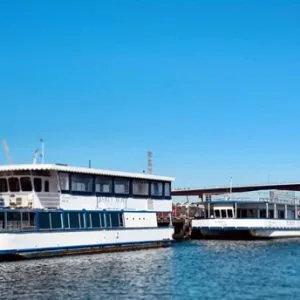 Party boat docking port