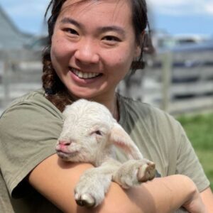 Petting-Zoo-1-5c3e5f40