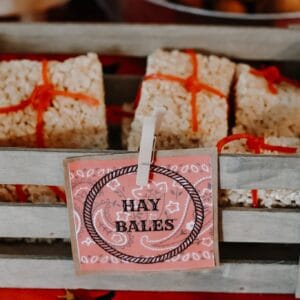 boys-western-party-hay