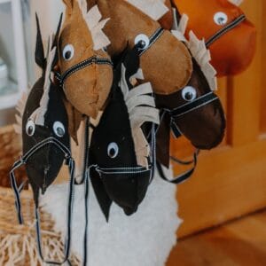 boys-western-party-horses