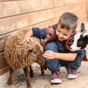petting-zoo-party