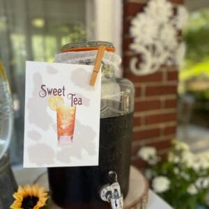 western-theme-adult-party-tea