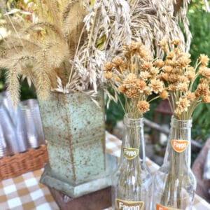 western-theme-adult-party-wheat